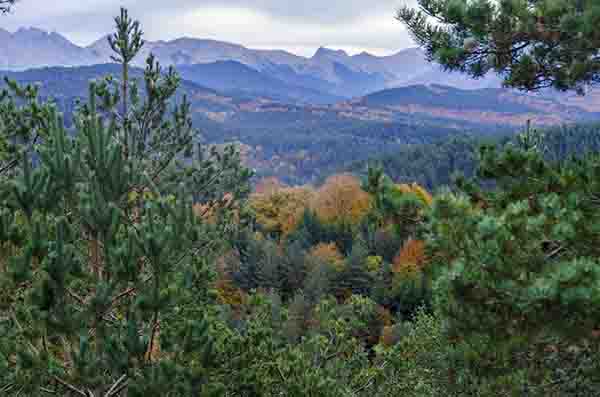 Reyno de Navarra - valle del Roncal 1.jpg
